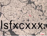 金屬鑛物黃鐵鑛呈半自形晶粒狀.jpg